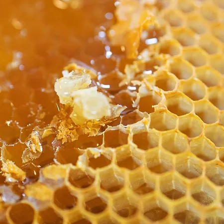 Hotel Greet Coeur Des Landes Castets