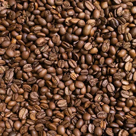 Greet Coeur Des Landes 2*