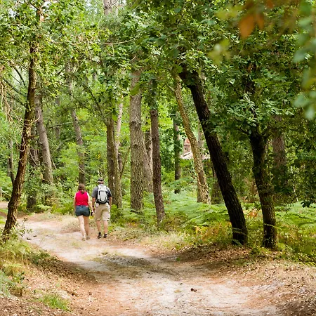 فندق Greet Coeur Des Landes كاستيتس