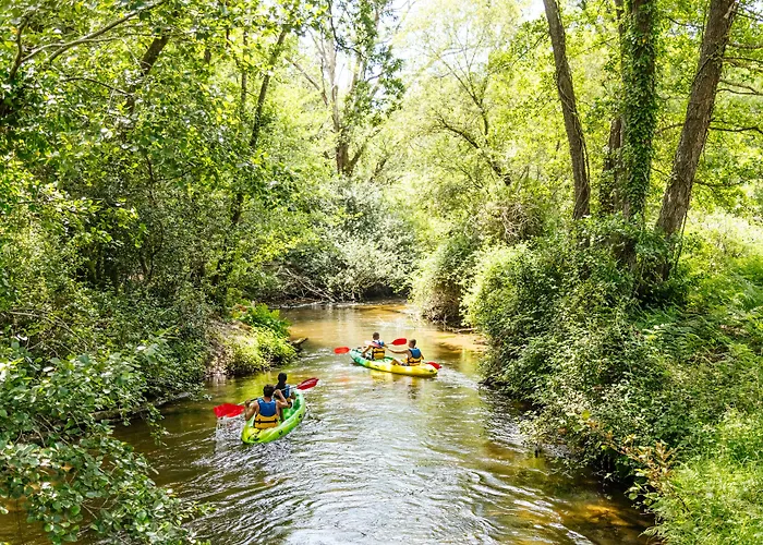 Greet Coeur Des Landes Castets